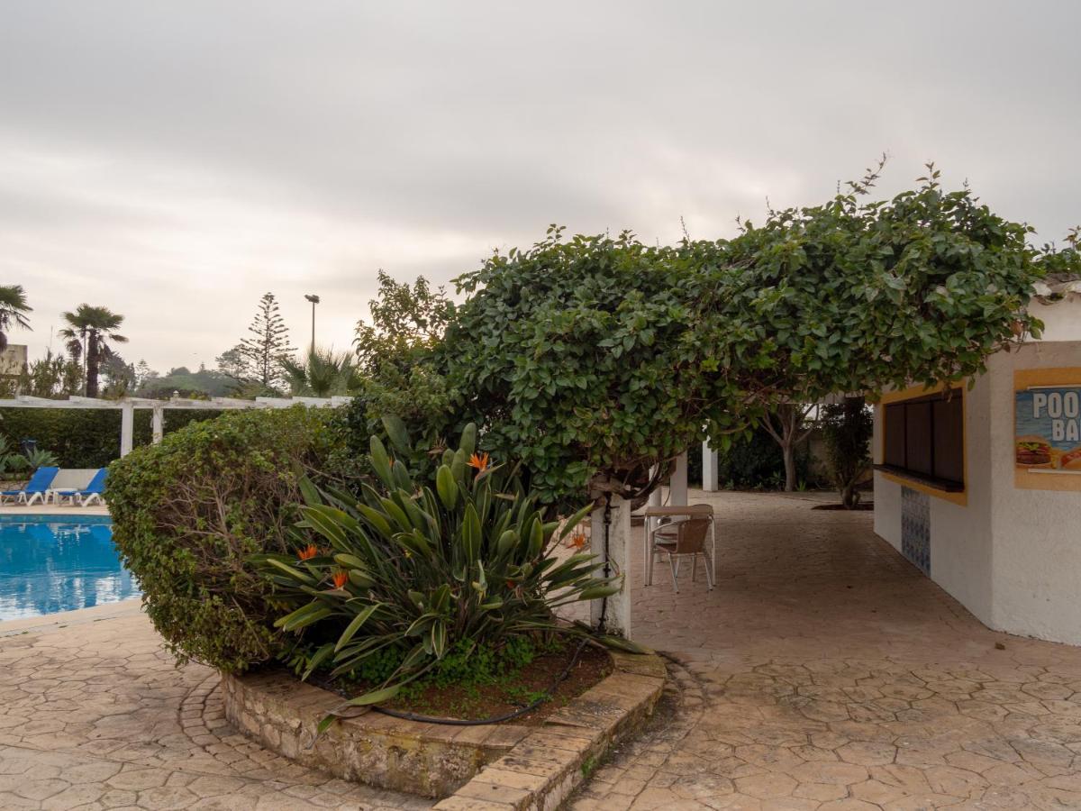 Bay Luz