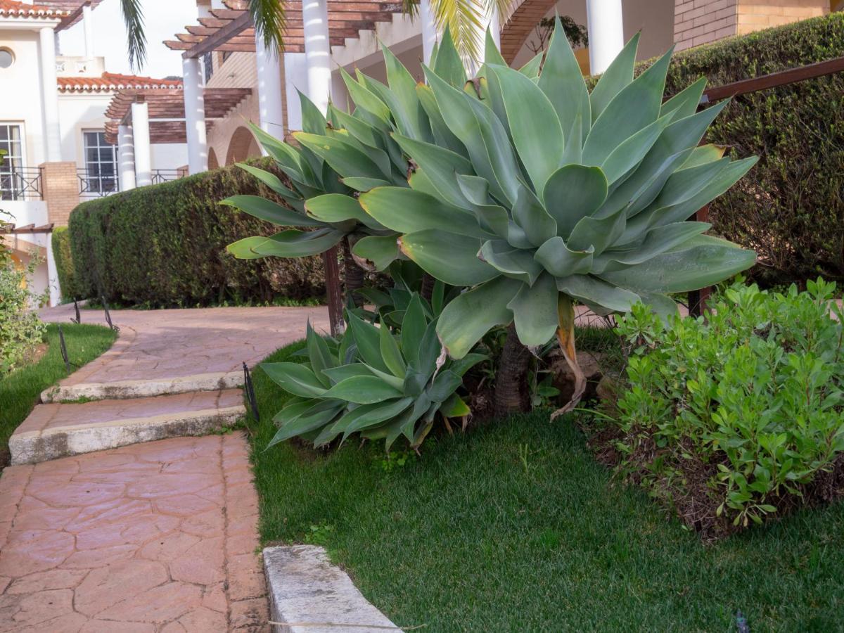 Bay Hotel Luz