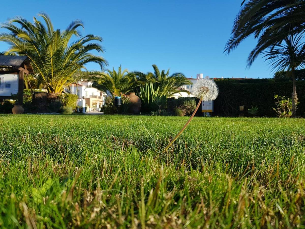 Bay Hotel Luz